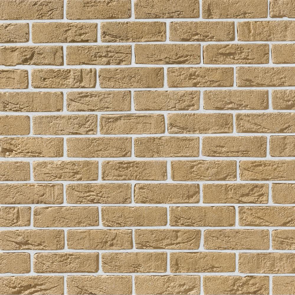 На стену Орли Плоскость 050 21.5x6.5x1