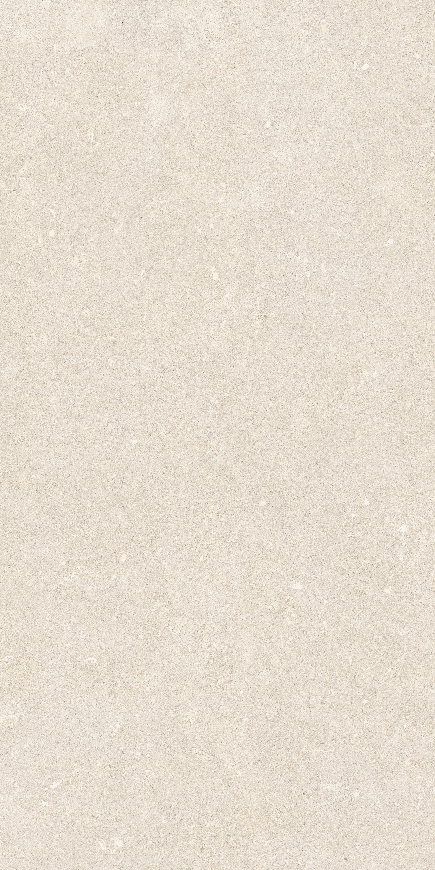 785492 На пол Rinascenza Arena Bianco Antico Grip 60x120 - фото 4