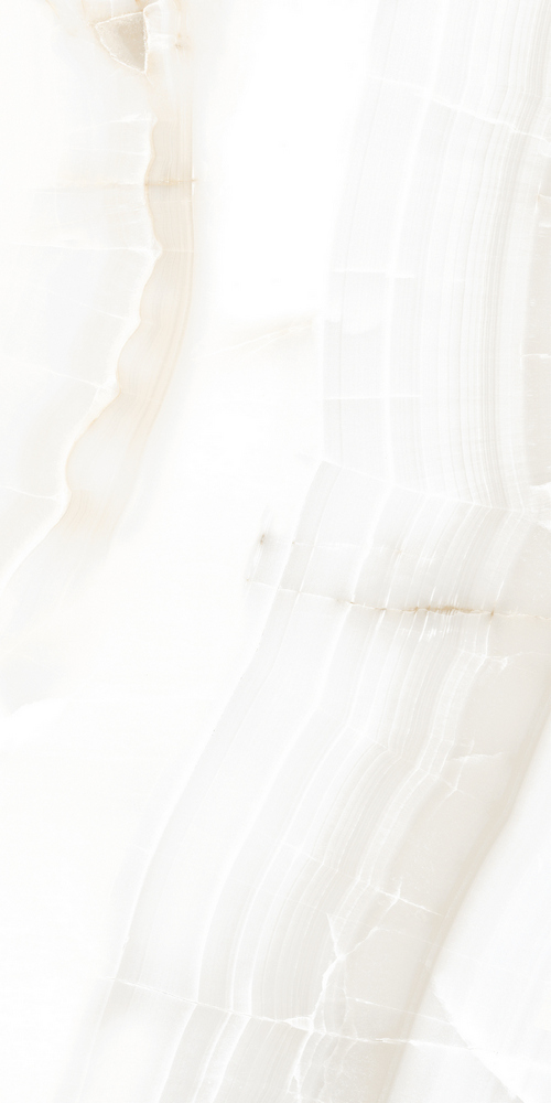 GT120603803PR На пол Lonic Белый PR 60x120 - фото 6