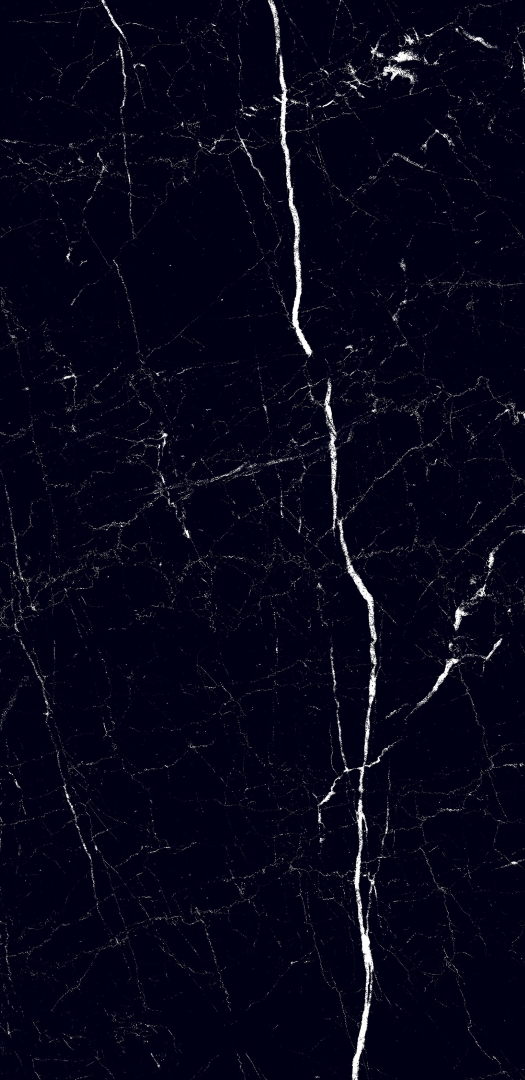 MOG602/PS_NC/60x120x9R/GW На пол Marble Black полированный 60x120 - фото 9