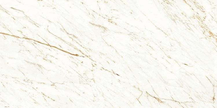 1031 На пол Marble 5.5mm Nero White carving 9 mm 120x60 - фото 4