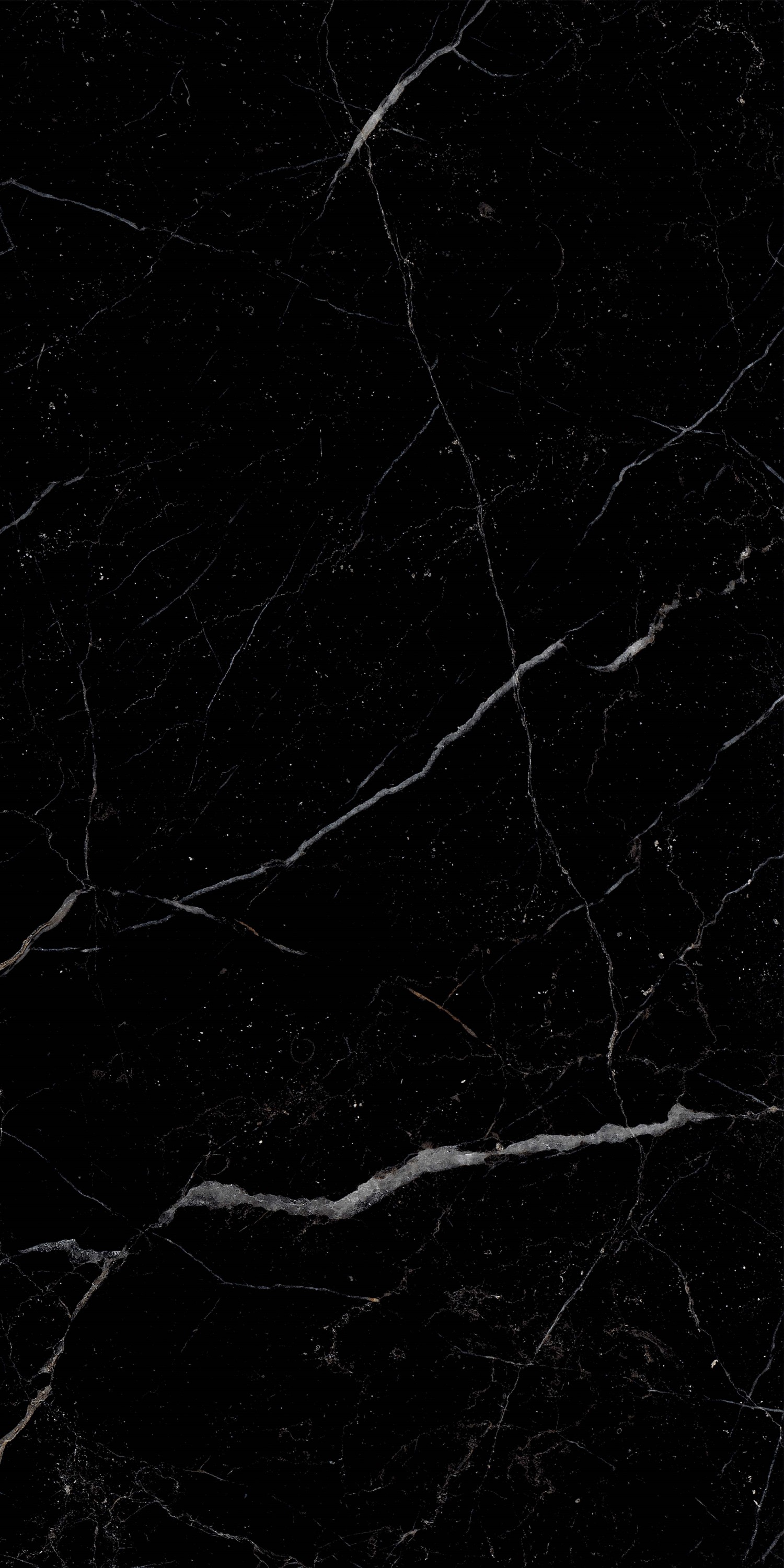51790 На пол Royal Black Hight glossy 60x120 - фото 4