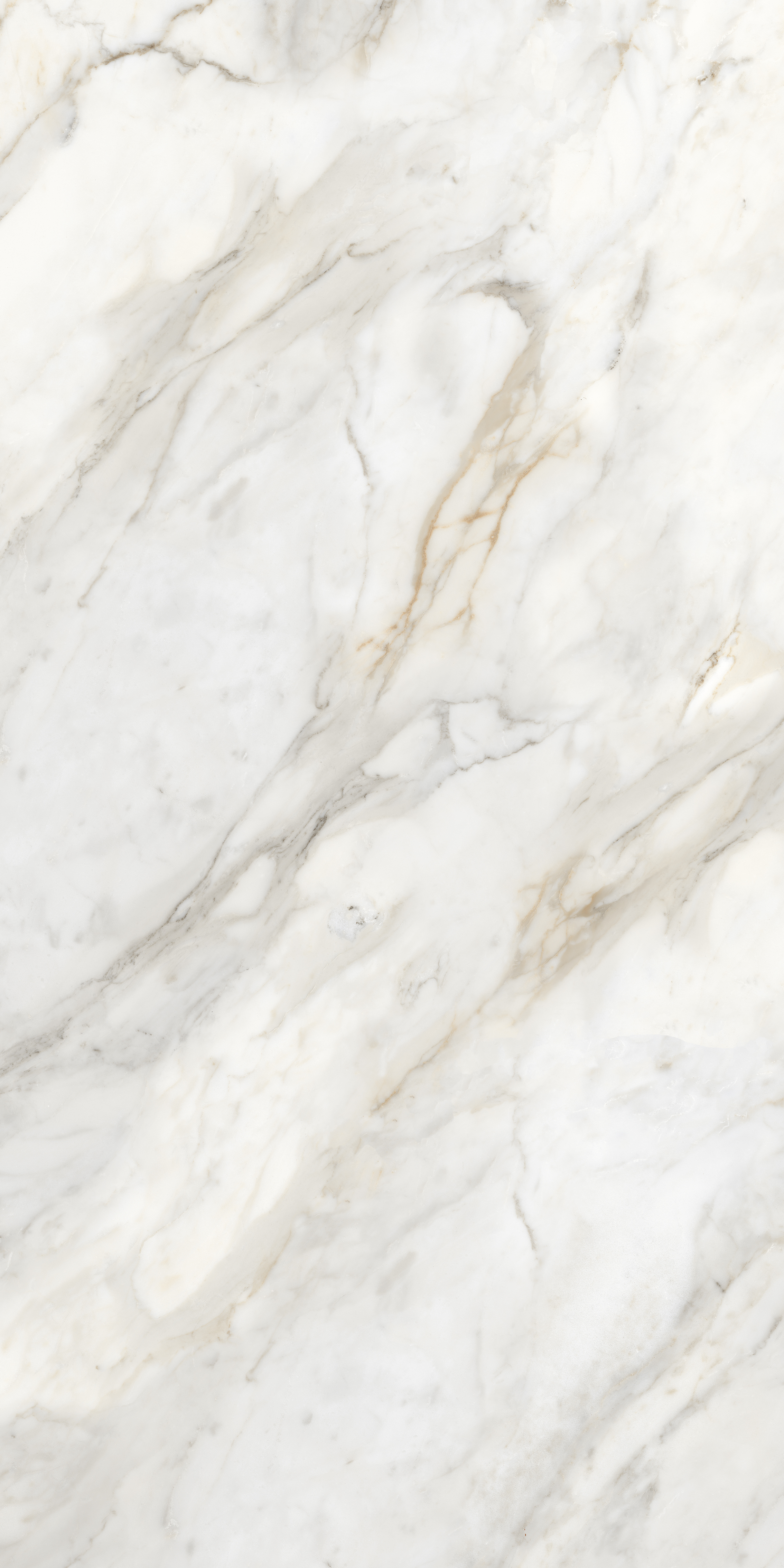 ENMAR8001GL60120  На пол Marble Amulet Glossy 60x120