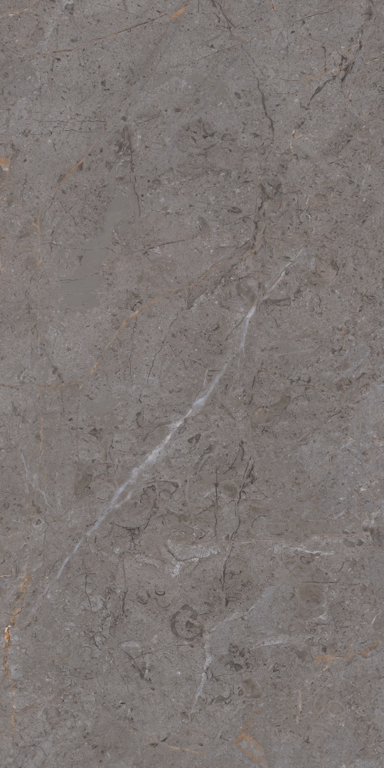 PT12P7057 На пол Verona Pol 1200х600х9 - фото 4