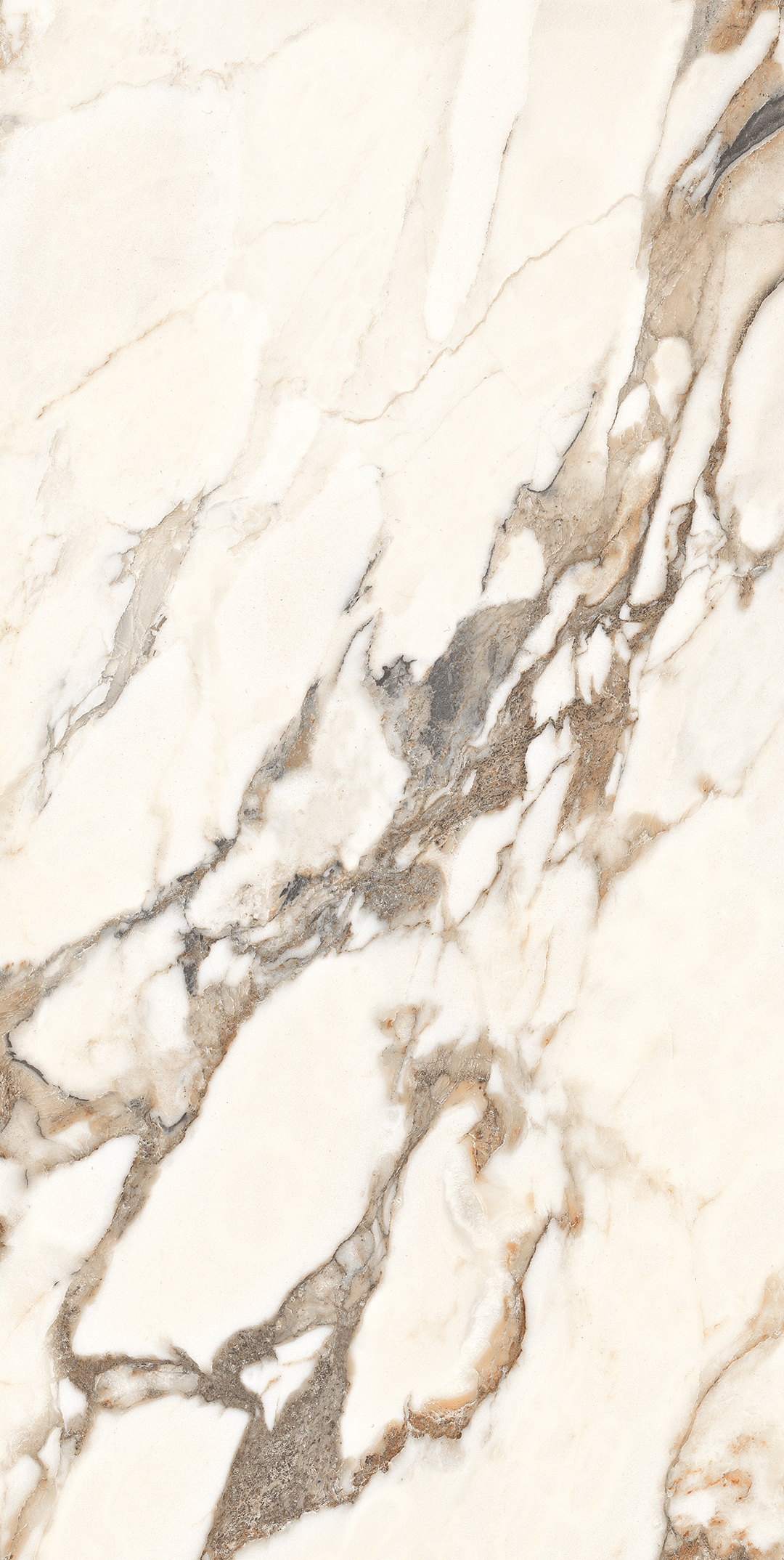 На пол Calacatta Bronze Белый полированный 120x60