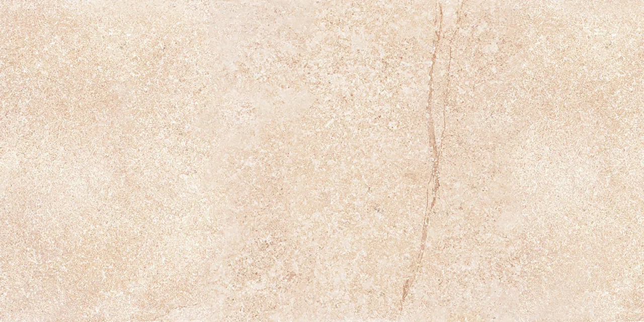 На пол Шунут Beige MR 1200x600 - фото 7