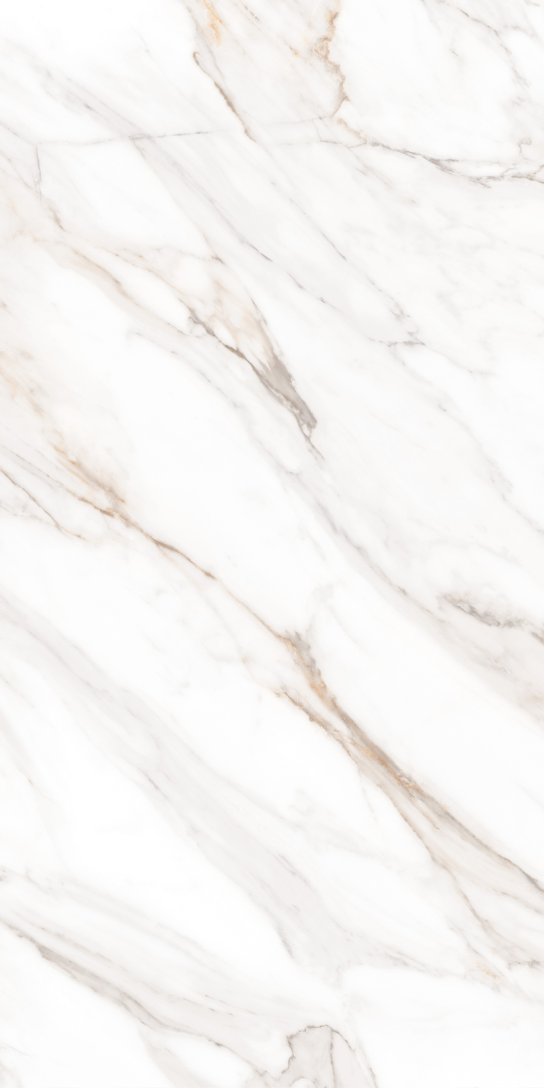 MPL-058630 На пол Simero Calacatta Gold Satin 60x120 - фото 3