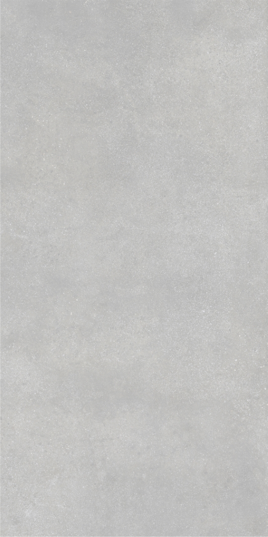 010400001370 На пол Beton Grey PG 11 60х120