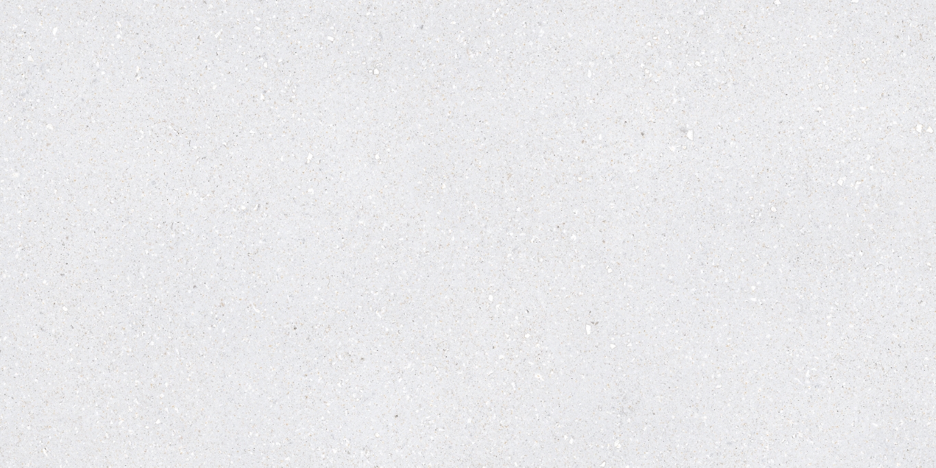 На пол Sassy White Rec 60x120 - фото 3