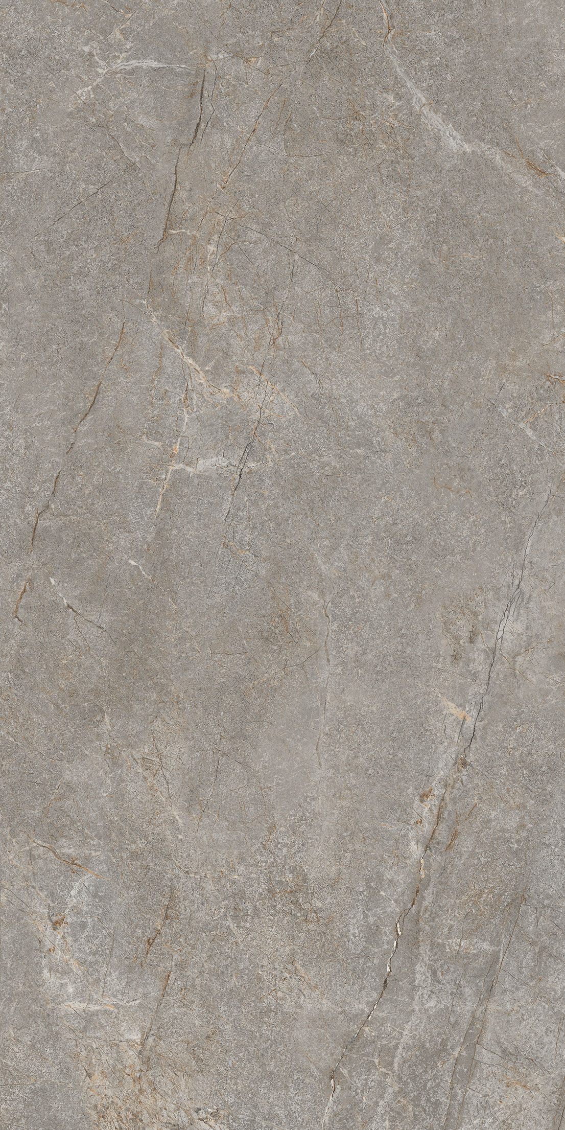 GT1206020804SSDGR  На пол Arizona Коричневый лаппатированный 60x120