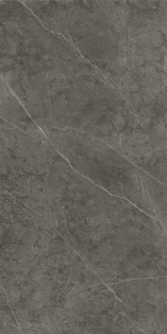 610015000239 На стену Charme Evo Floor Project Антрачит 30x60 Патинированный и Реттифицированный - фото 2