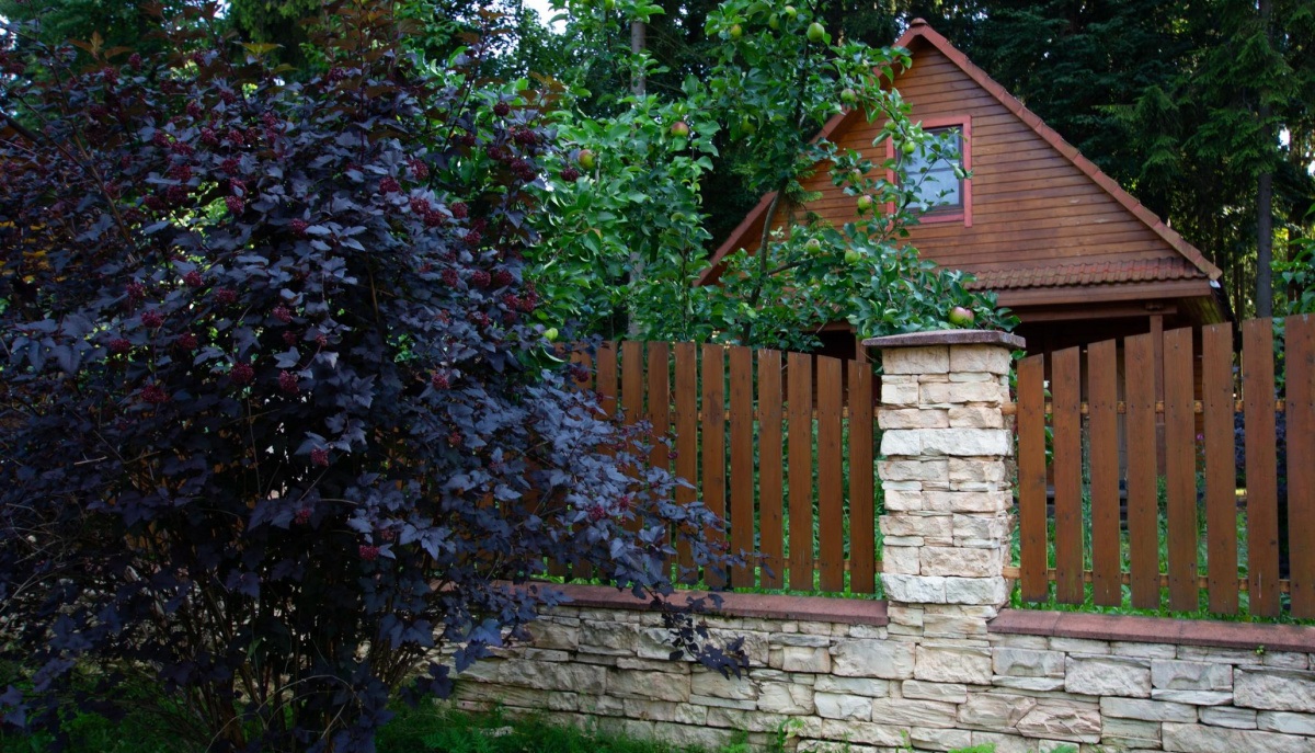 Leonardo Stone Венеция - фото 10