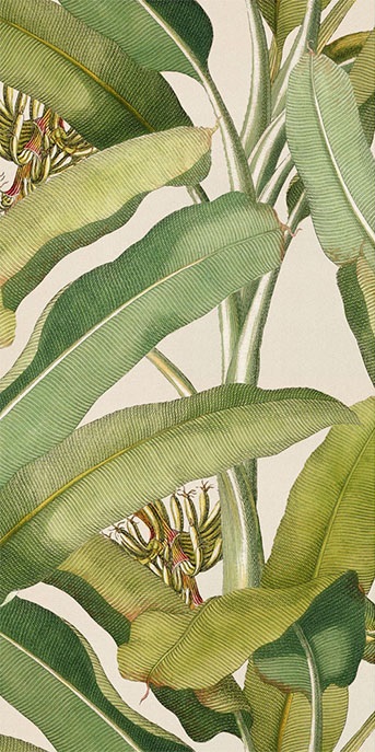 4100336 На стену Paper41 Pro Musa (2 mix) - фото 2