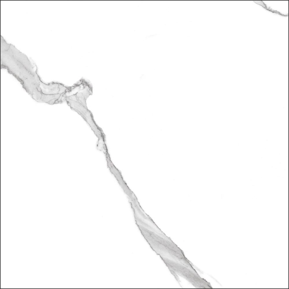 GT60601503MR На пол Anima Белый грес глаз. матовый - фото 2