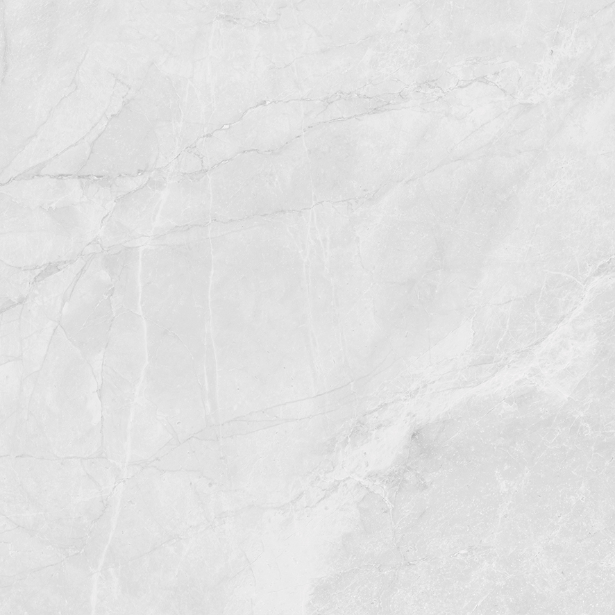 LP6060G0241R На пол Berna Silver светло-серый матовый 59.5х59.5 - фото 5