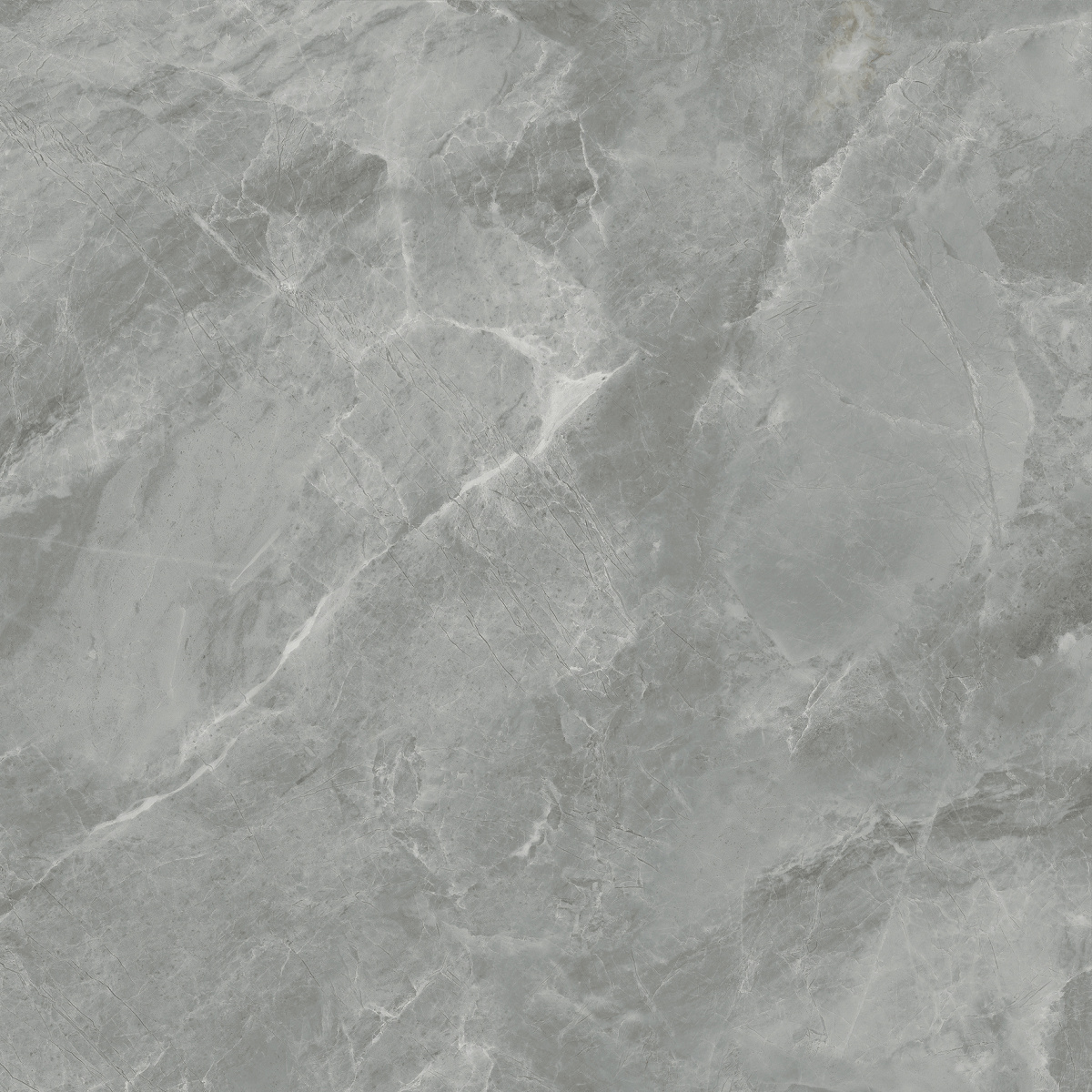 CR6060G0401R На пол Regnum Grigio серый матовый 59.5х59.5 - фото 10