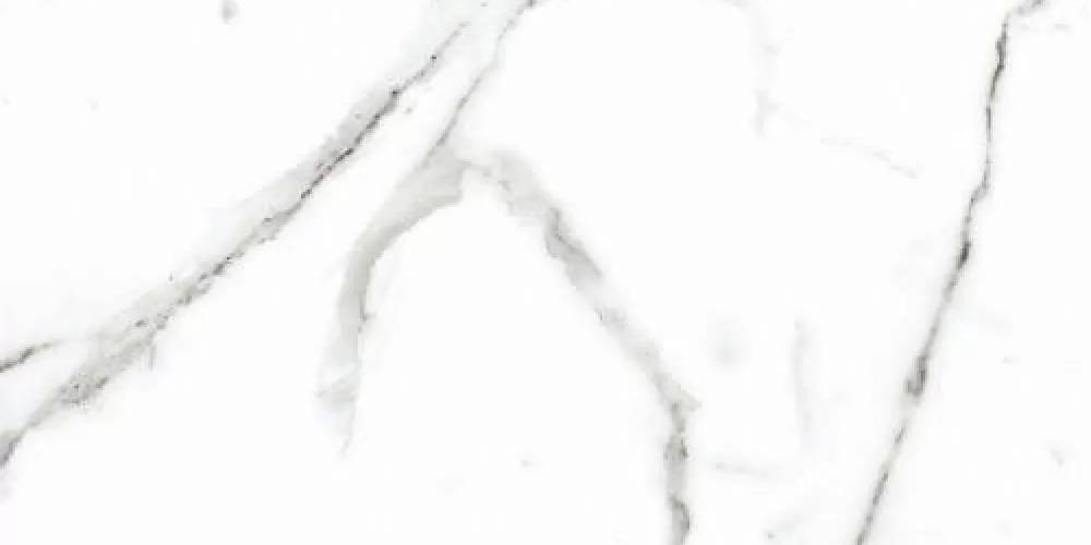 CG0L06G01 На пол Calacatta Grey 60x120