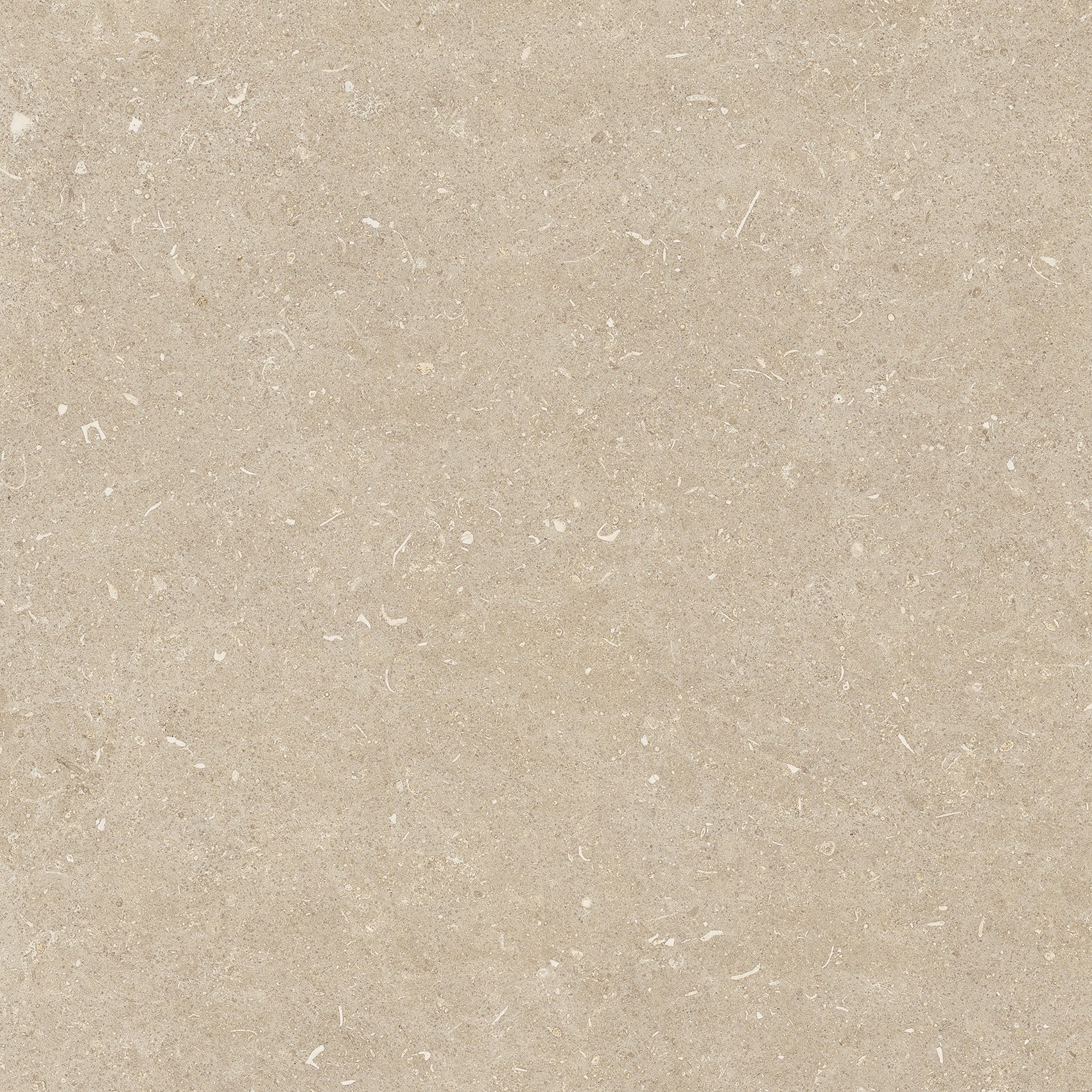 785505 На пол Rinascenza Arena Conchiglia Grip 20mm 120x120 - фото 3