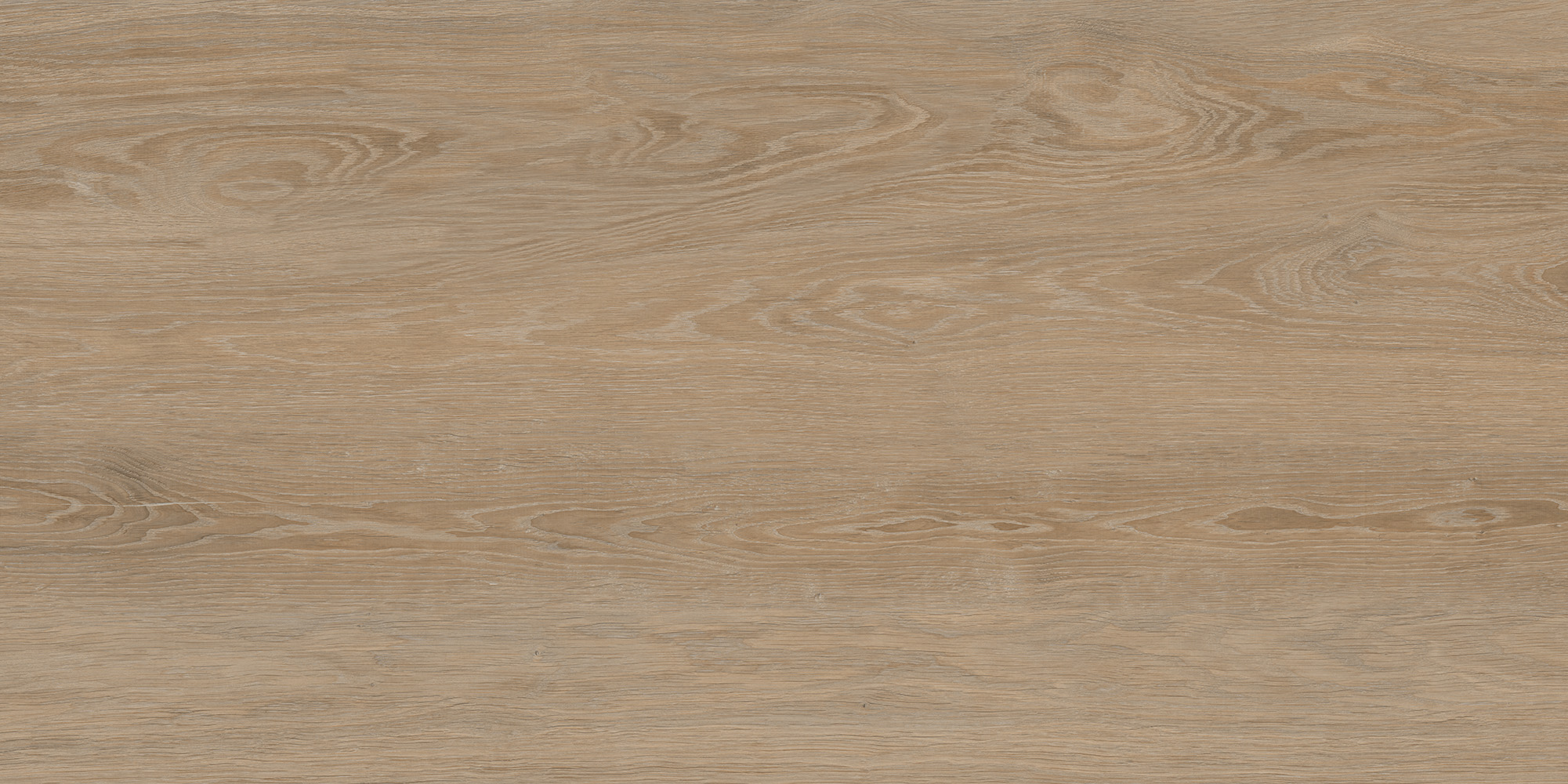 FO0L69M01  Forest Oak 60x120 - фото 2