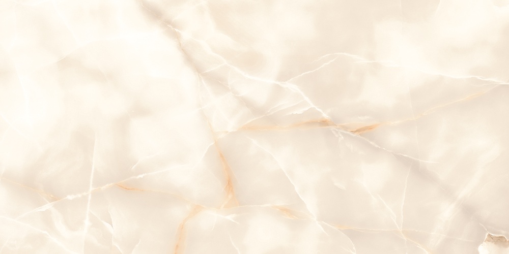 RP-238574  Fantasy Onyx Glossy 60x120 - фото 2