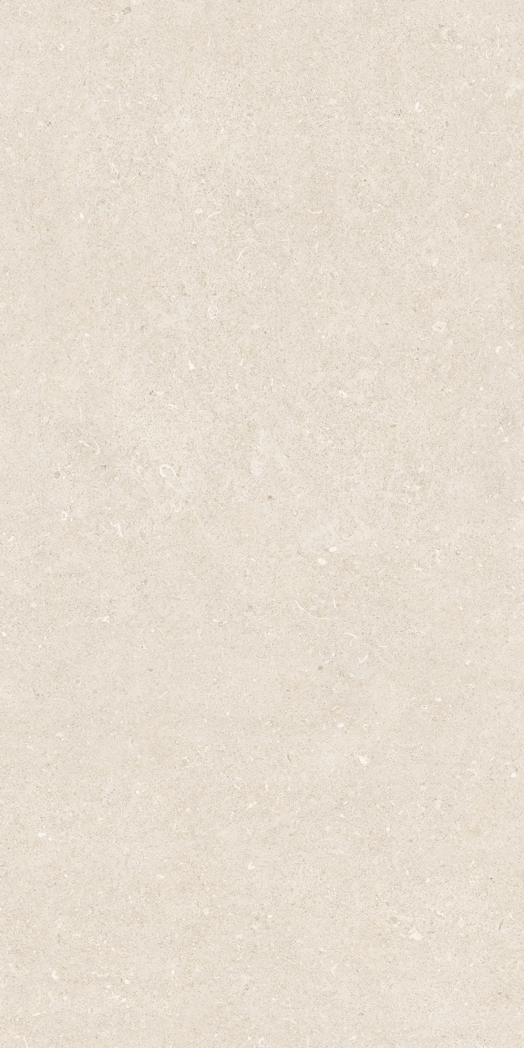 785492 На пол Rinascenza Arena Bianco Antico Grip 60x120 - фото 9