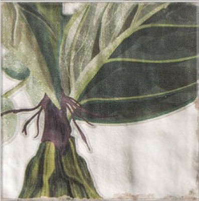 918576 Декор Cinque Terre Rev. Protea - фото 9