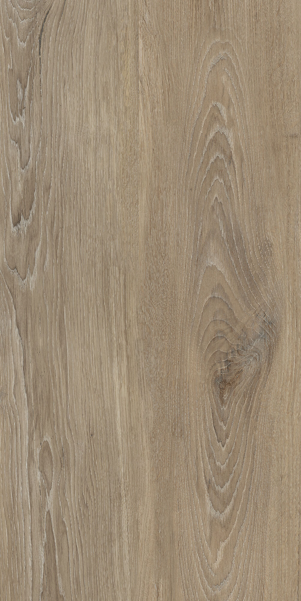 40683 На пол Verbier Honey 4D/50X100X2/A/R