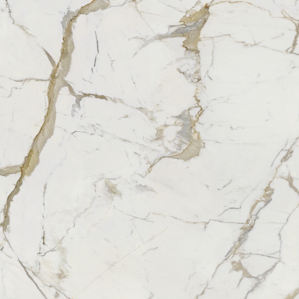 VSM202 На пол Vision Calacatta Oro 120x120