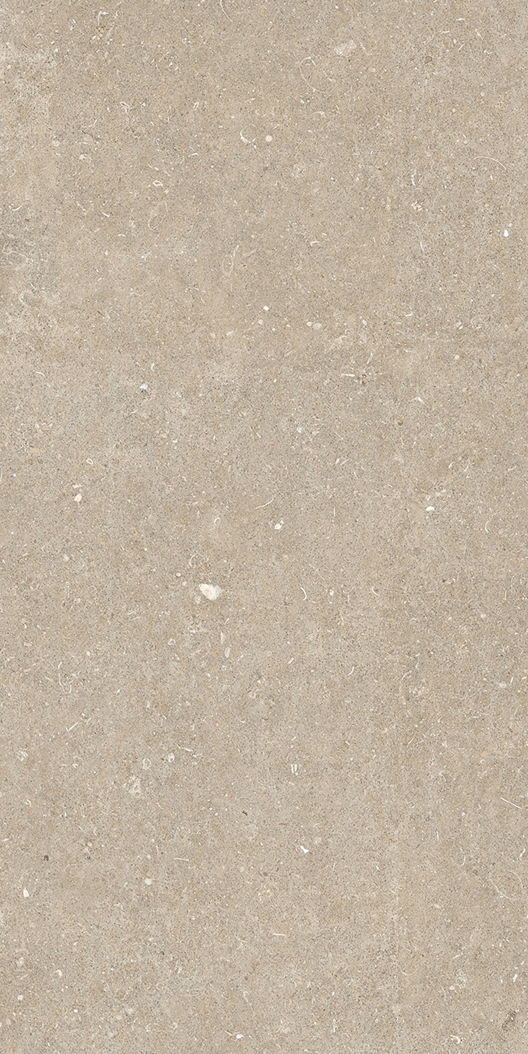 785575 На пол Rinascenza Arena Conchiglia Matte 6mm 60x120 - фото 4