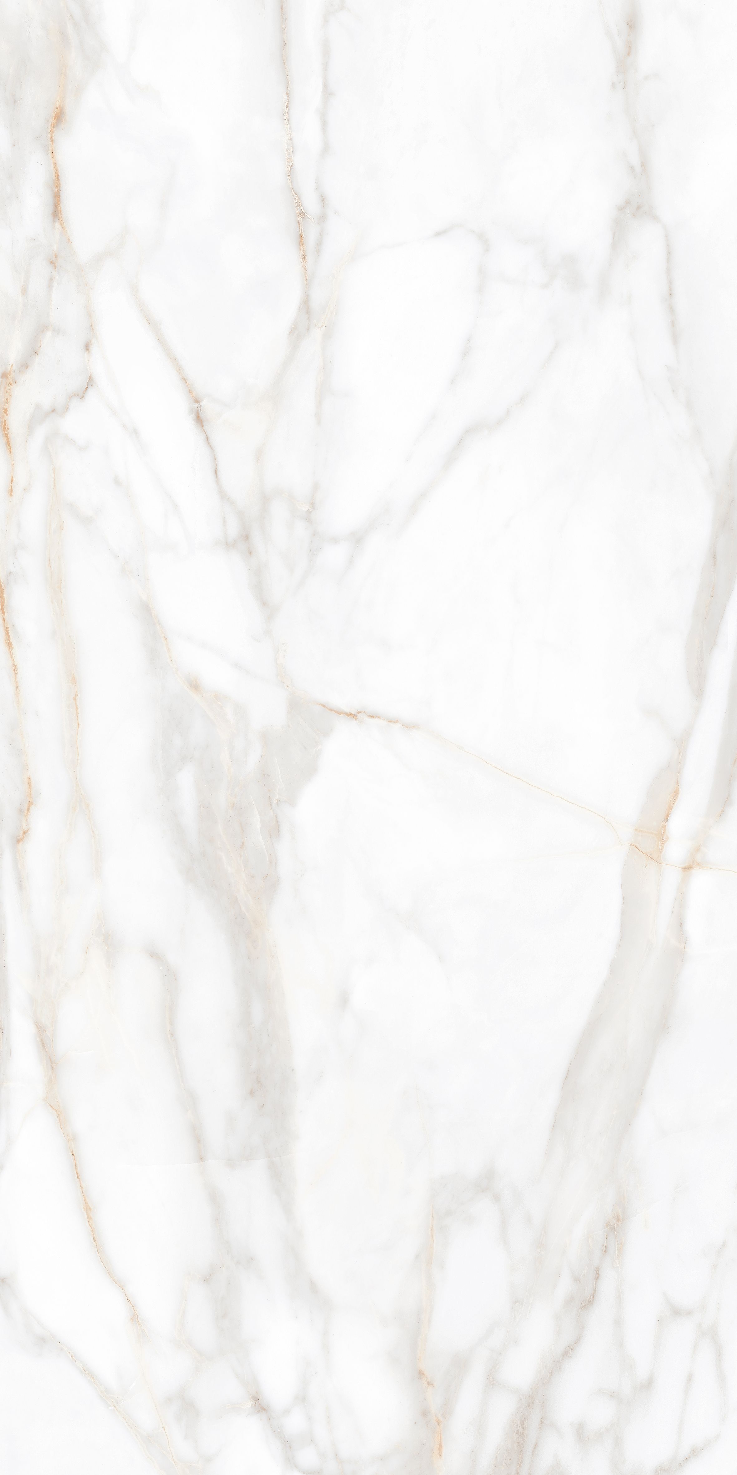 SM02/NS_R9/60x120x9R/GW На пол Supreme SM02 Gold Неполированный Рект. 60x120x9