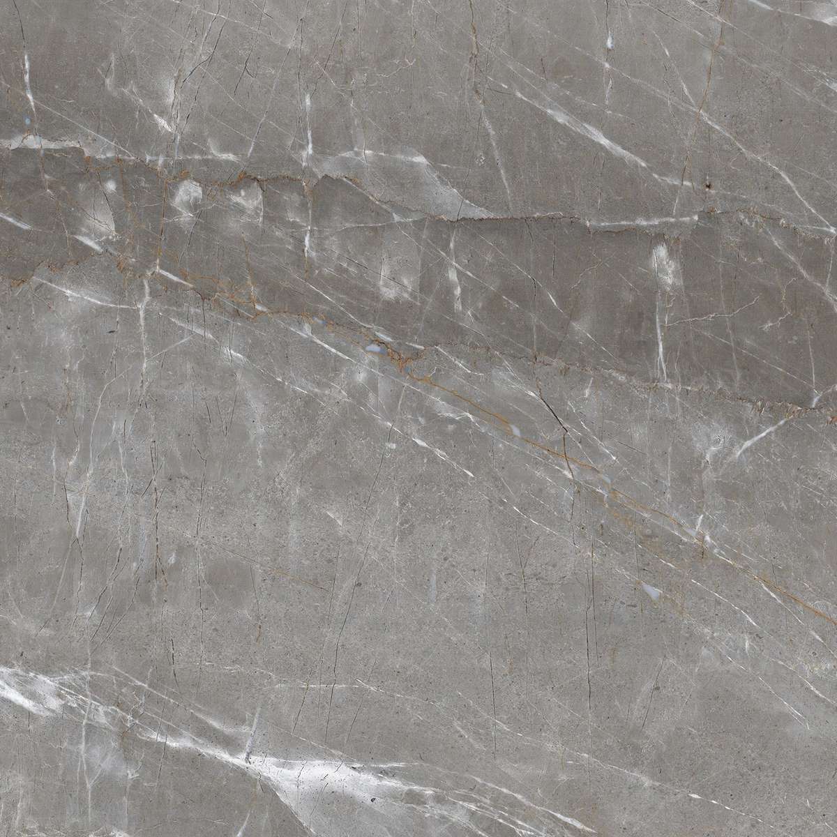 На пол Patara Grigio Серый I 60x60 Полированный - фото 6