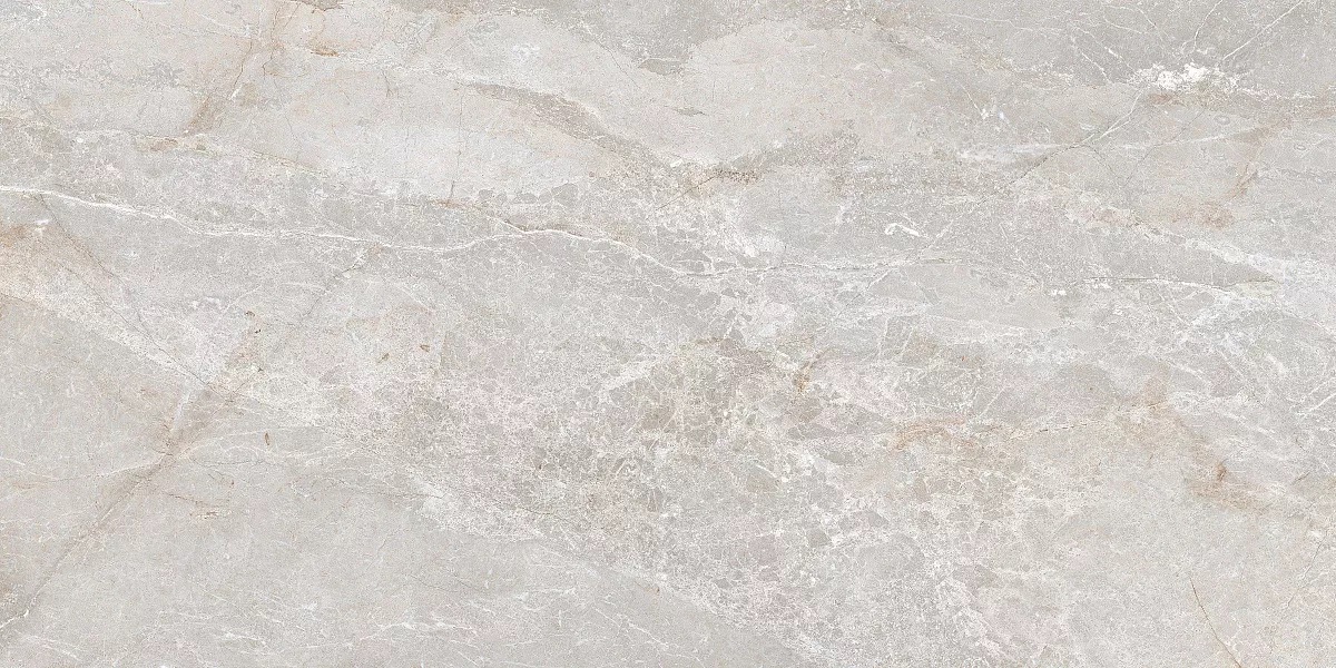 На пол Stonico Oyster Grey Glossy 60x120