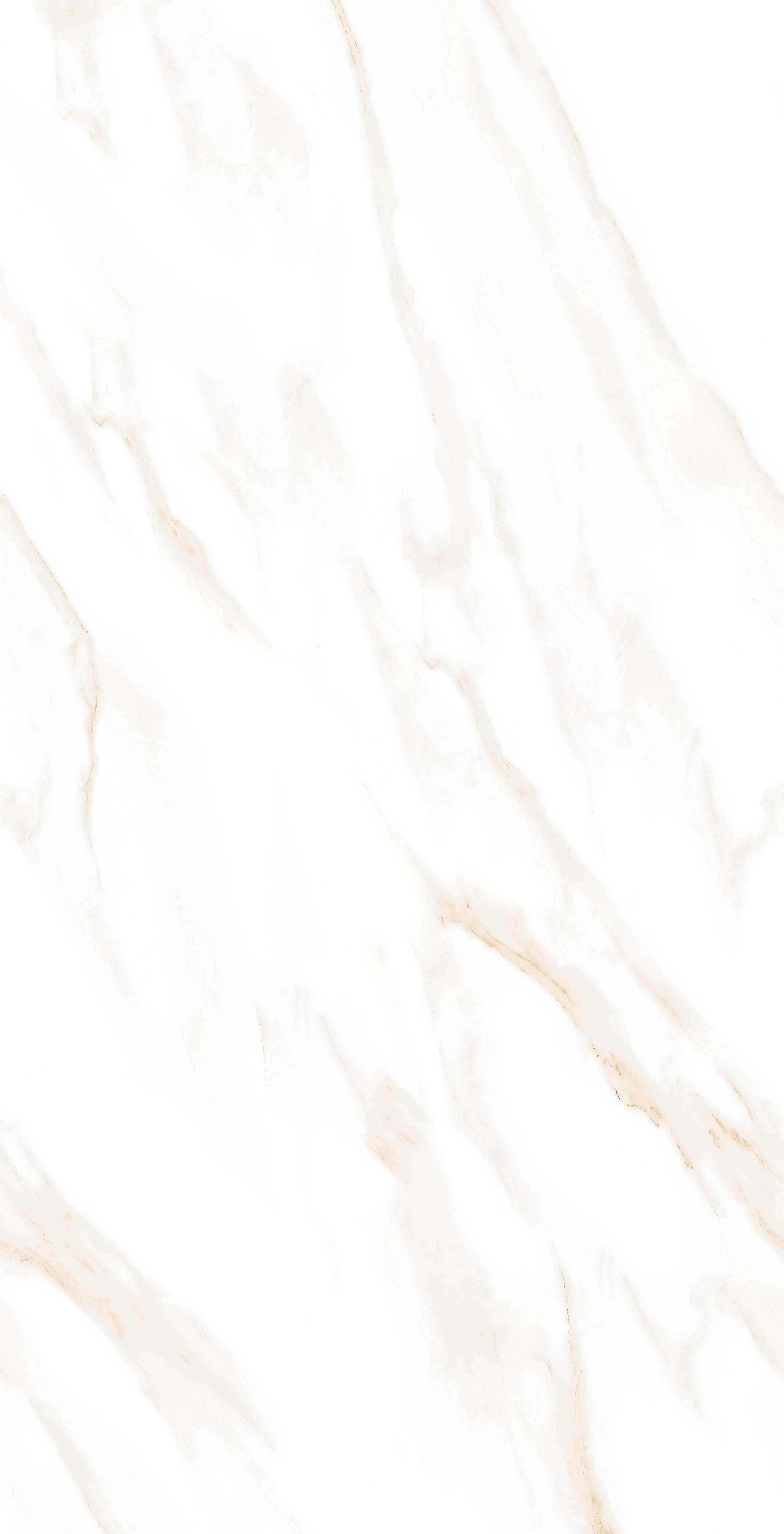 MOG102/PS_NC/60x120x9R/GW На пол Marble MOG102 White 120x60 Полированный Рект. - фото 3