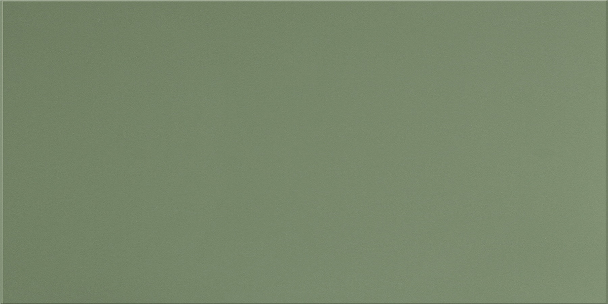 UF007MR На пол Моноколор Зеленый матовый ректифицированный 120х60