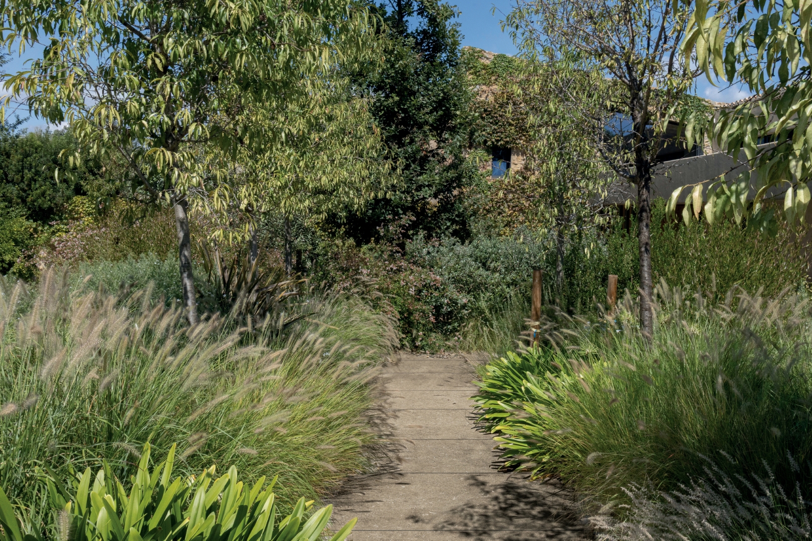 785501 На пол Rinascenza Arena Conchiglia Grip 30x60 - фото 30