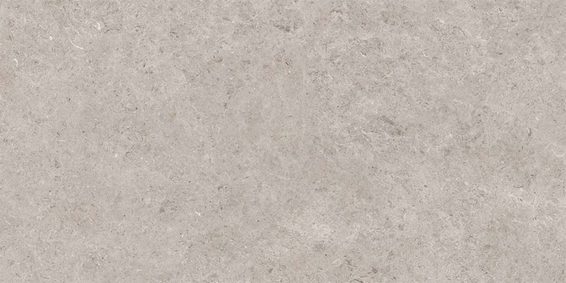 На пол Seashell Natural R10 Carving 60x120 - фото 5