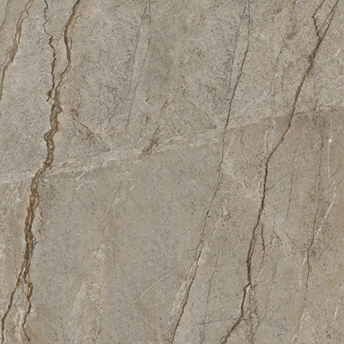 MN327AYD121209 На пол Marble Wild Forest Matt 9mm 120x120