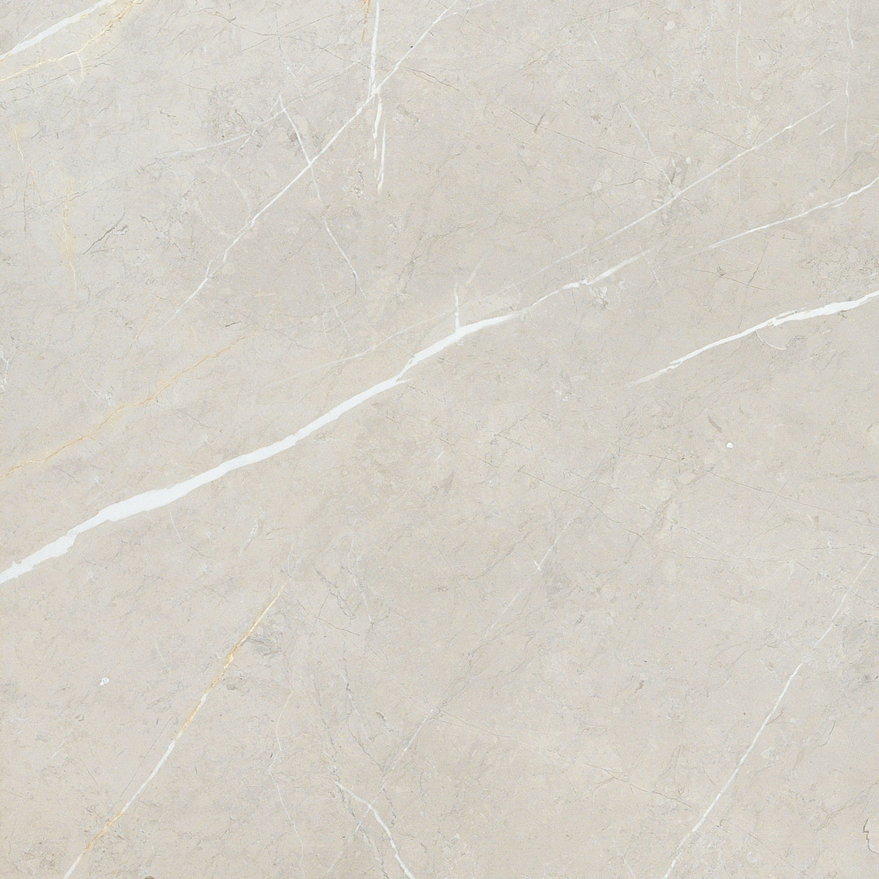 BB6NTT9101P На пол Bright And Shiny BB6NTT9101P - фото 24