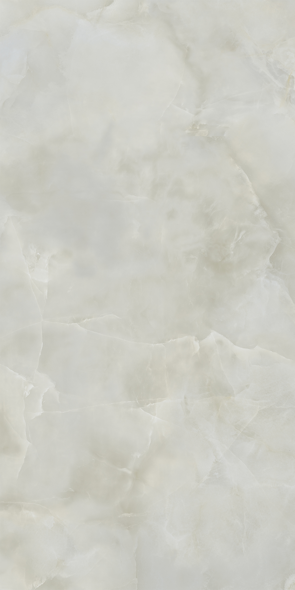 AIAX На пол Anima Ever Royal Onyx Matt RT R10B 60x120