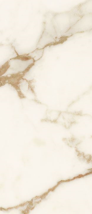 LS6NB01 На пол Synestesia Calacatta Oro Levigato 120x278