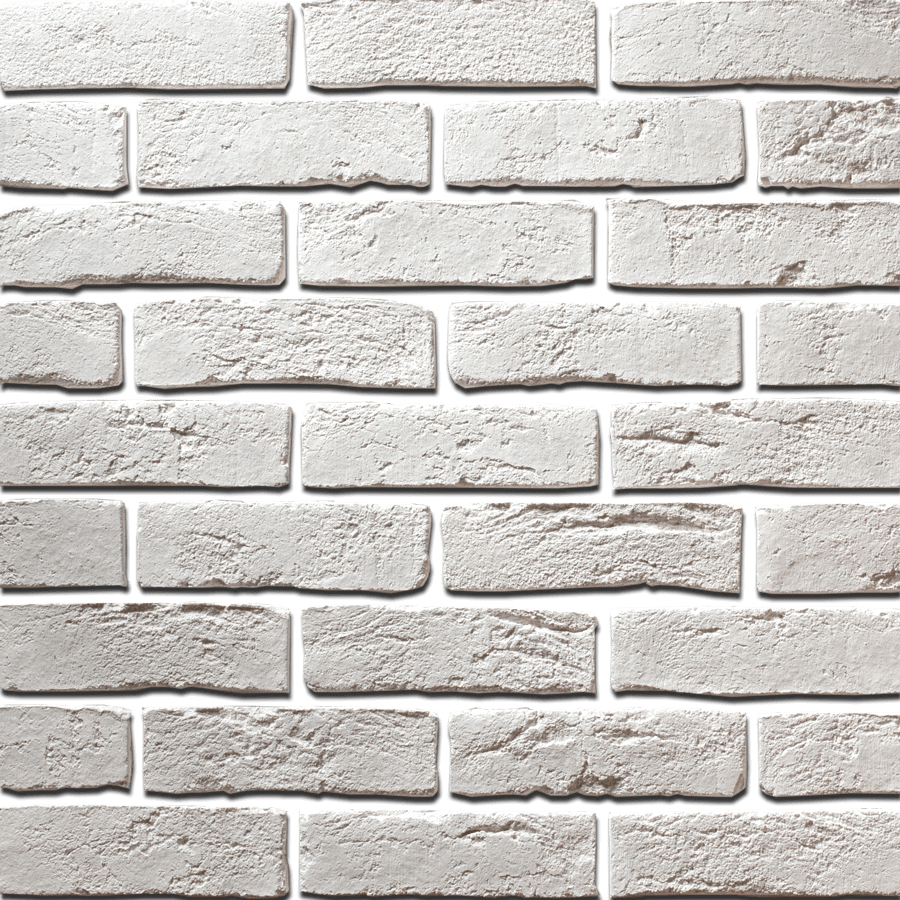 На стену Дрезден 399