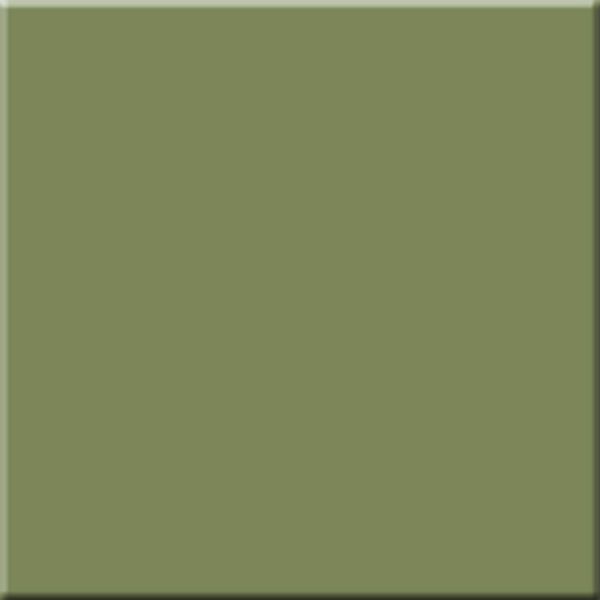 RW06/NS_R9/60x60x10R/UC На пол Rainbow RW06 Green 60 неполированный рект.