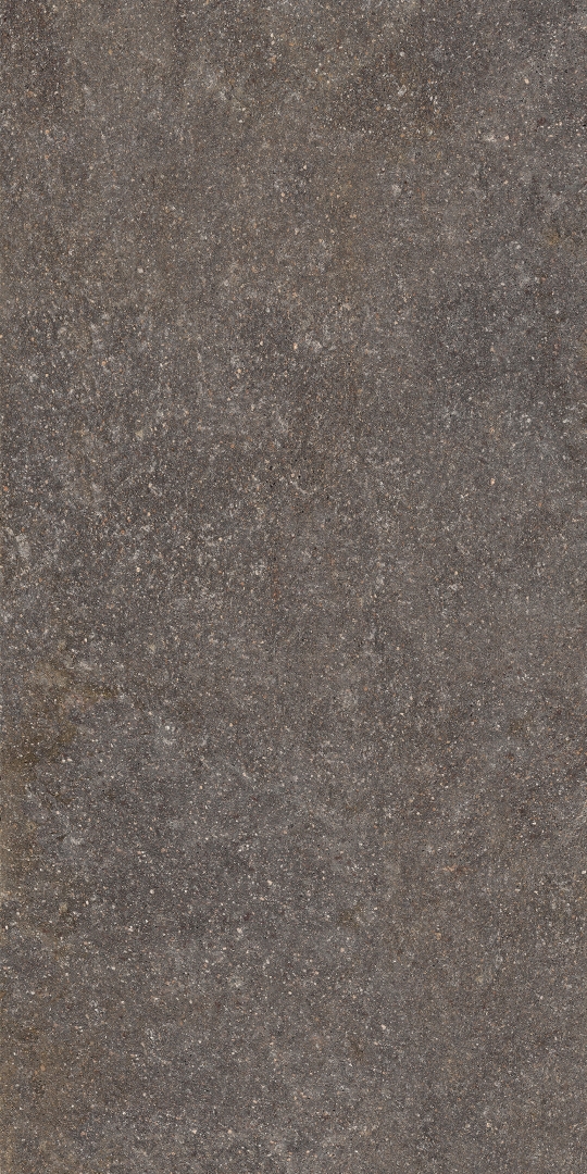 AFM6 На пол Shapes of Italy Lavis RT 60x120 - фото 3