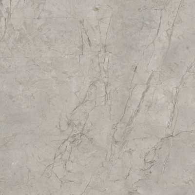 2A52 На пол Elements Lux Silver Grey Lappato RT 120x120 - фото 3