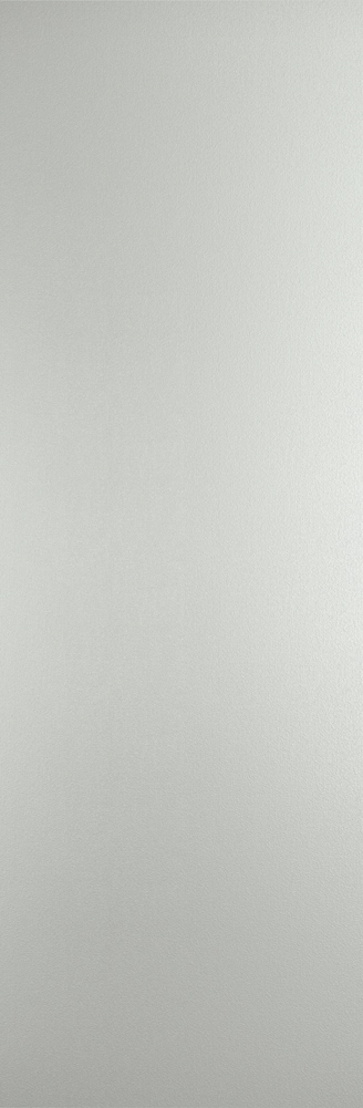 На стену Wanderwall Silver Slab Natural 3.5 mm 100x300