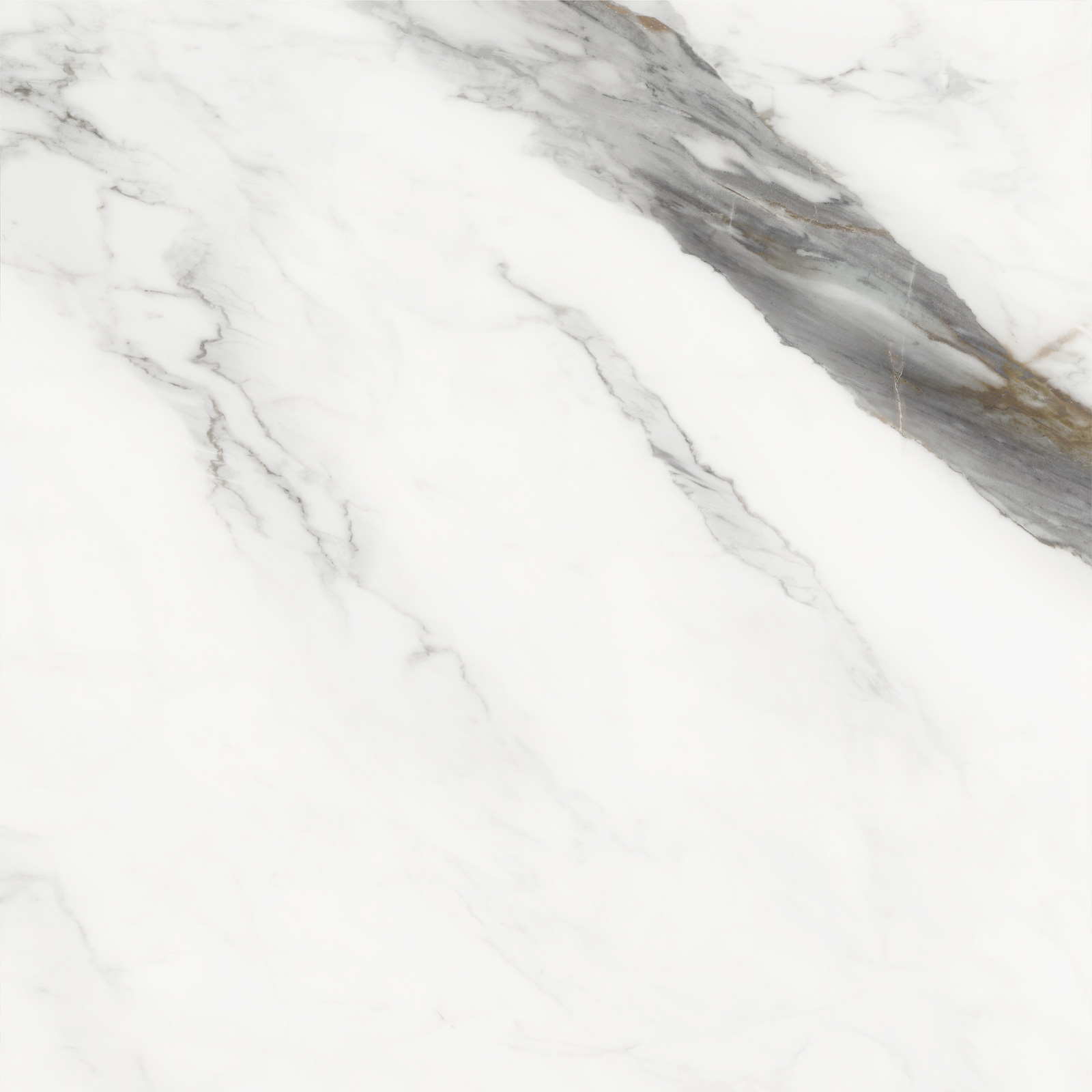D60208M Напольный Carrara Cersei Белый карвинг 600x600x9.5 - фото 5