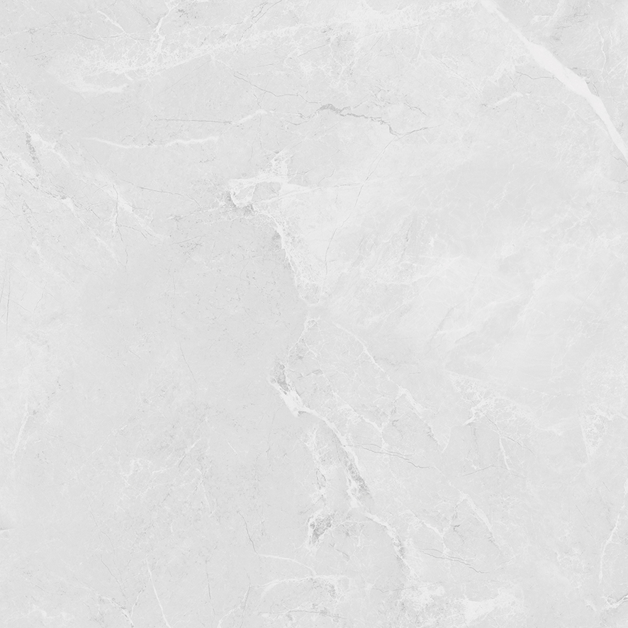 LP6060G0241R На пол Berna Silver светло-серый матовый 59.5х59.5 - фото 12