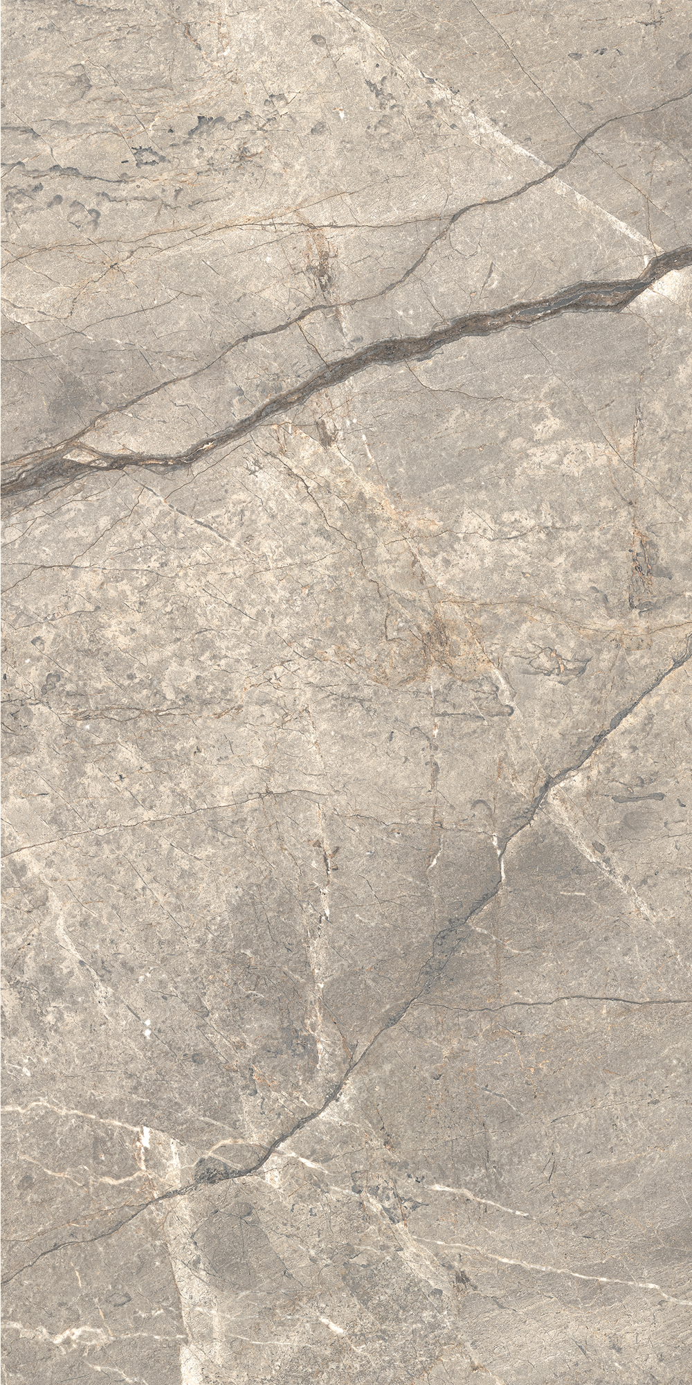 AGB6 На пол Anima Futura Silver Luc 60x120 - фото 4