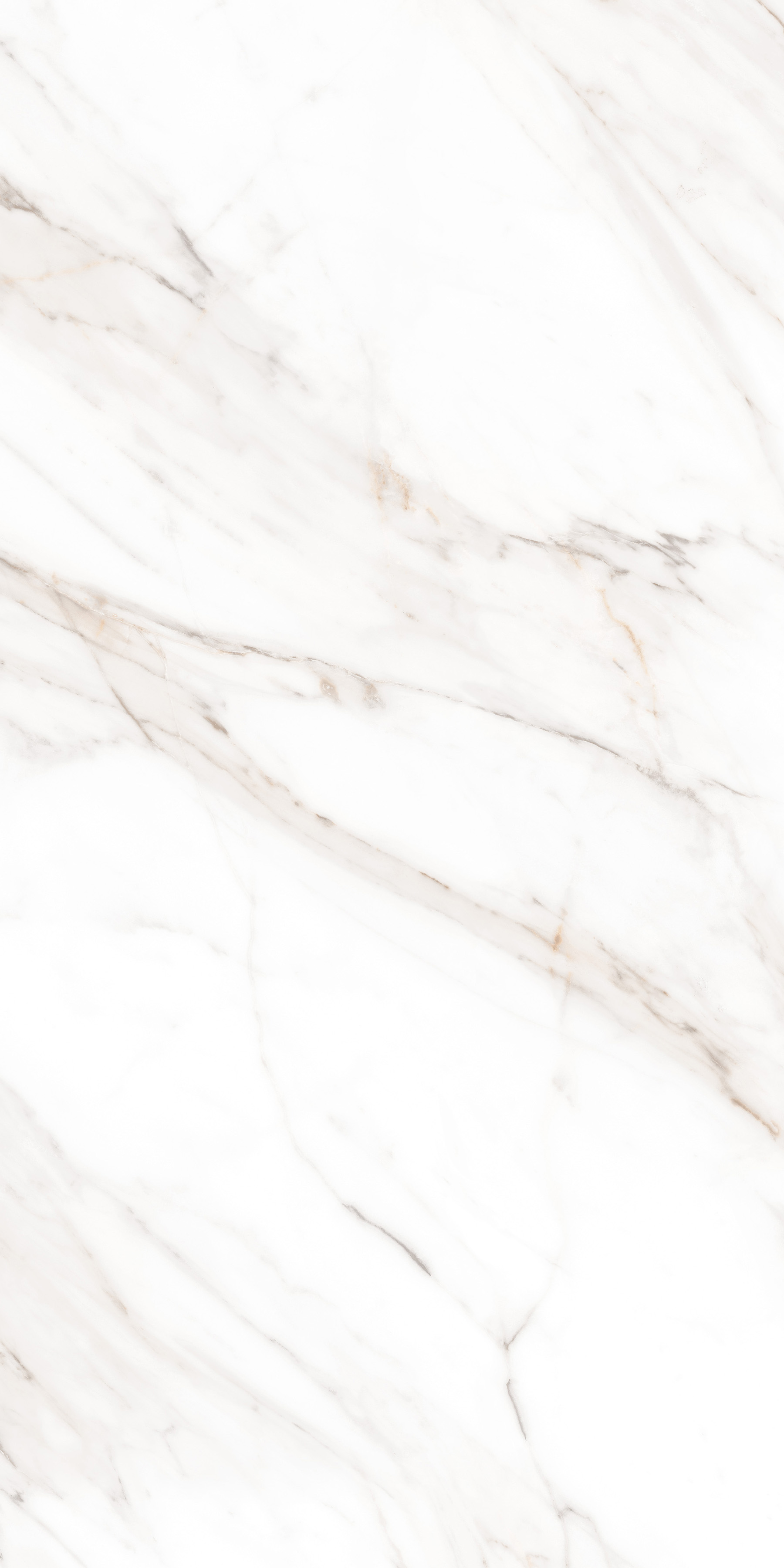 MPL-058631 На пол Simero Calacatta Gold Polished 60x120 - фото 6