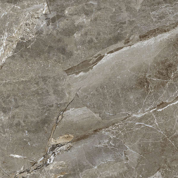 AB 1129G На пол Aquafina Natural Gloss 60x60 - фото 6